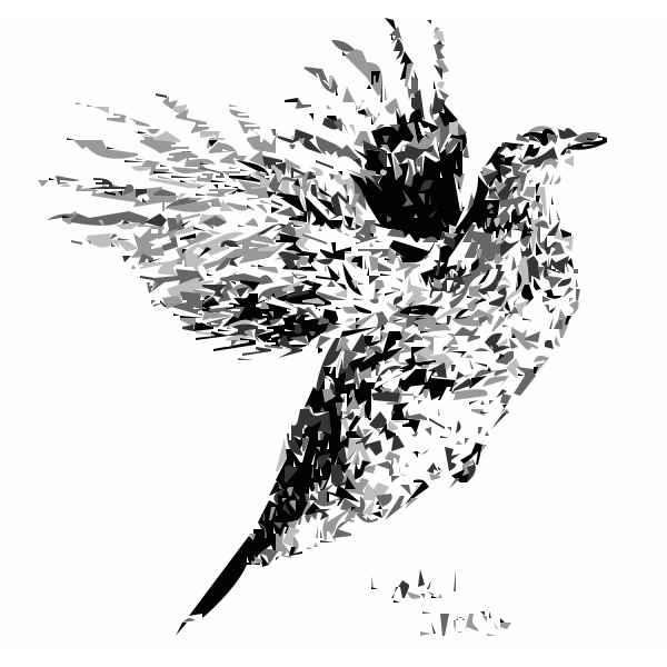 Rufflerd Grouse Bird 2